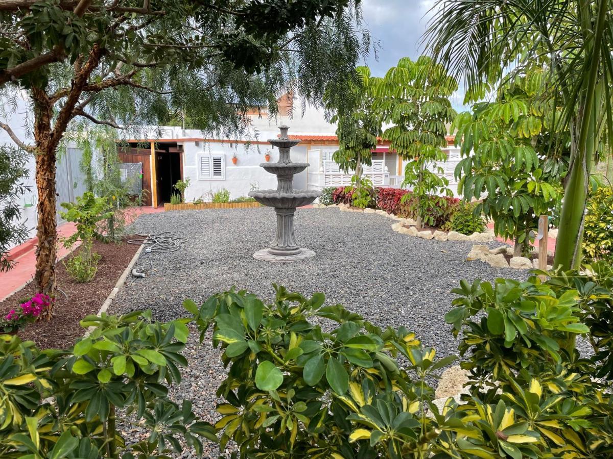 Casitas Rurales Amador Villa Arona  Eksteriør bilde