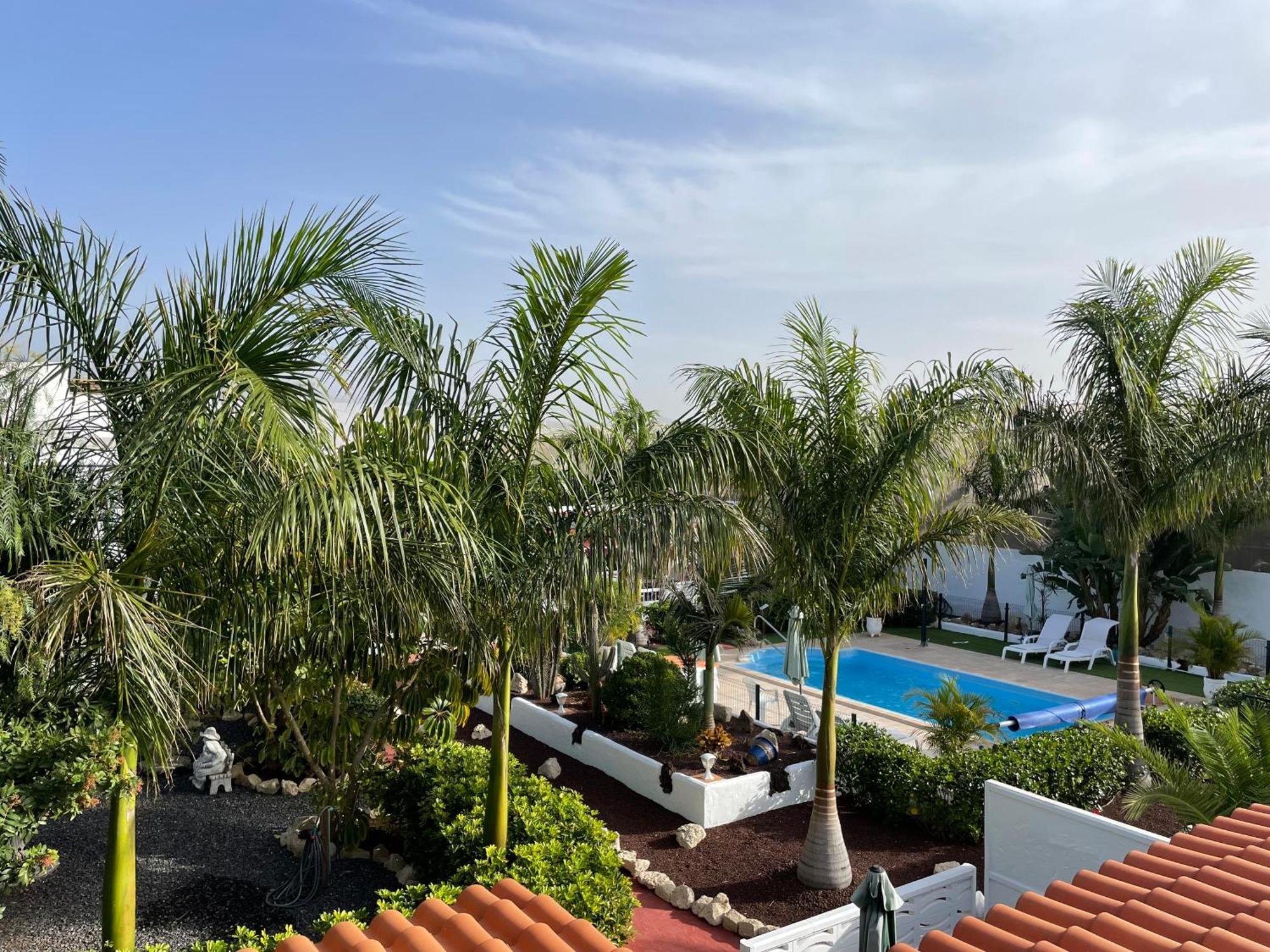 Casitas Rurales Amador Villa Arona  Eksteriør bilde